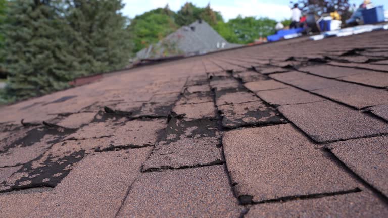 Roof Coating Services in Georgetown, OH