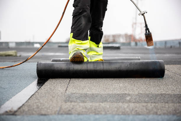 Best Roof Maintenance and Cleaning  in Georgetown, OH